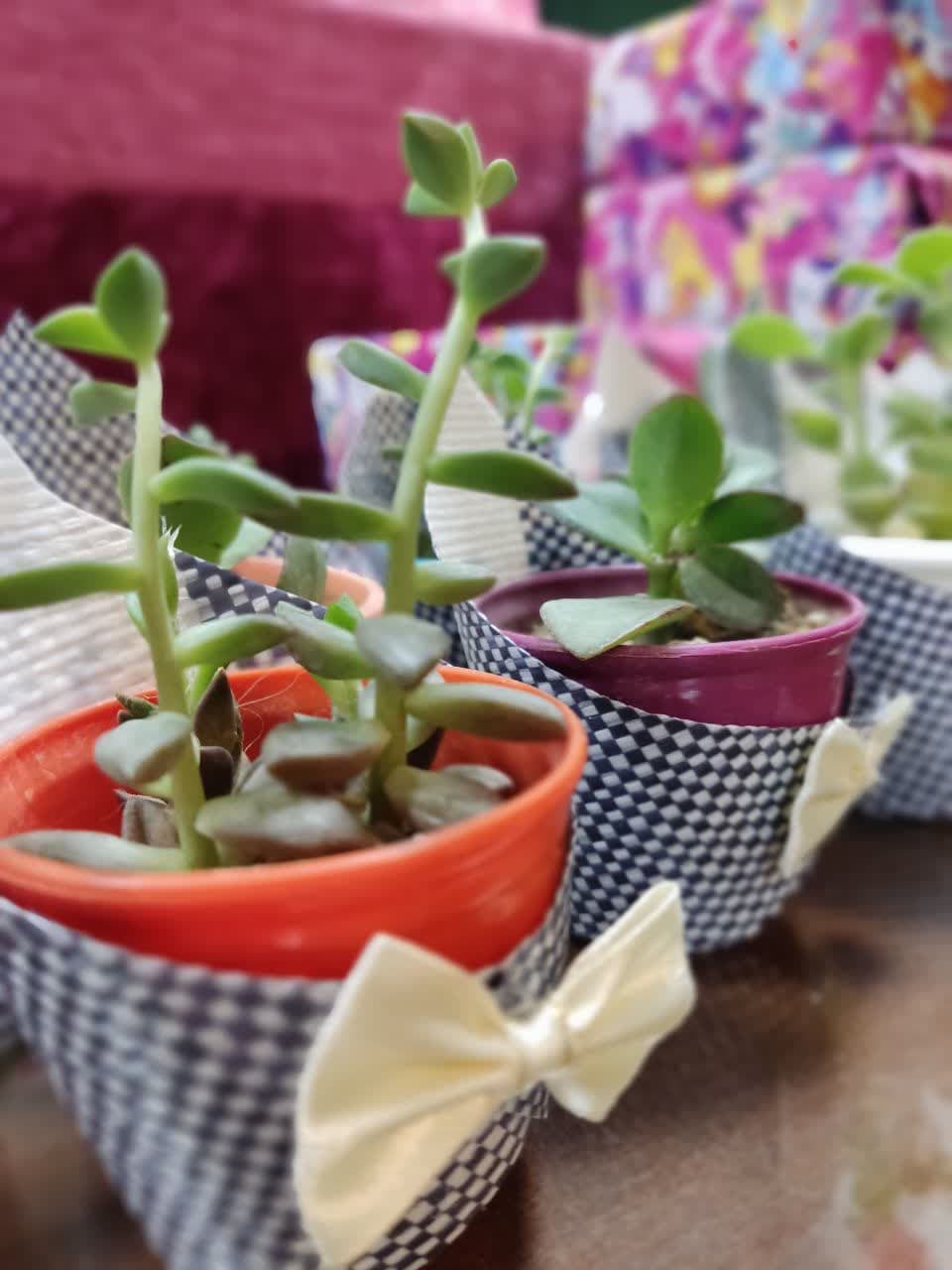 پیش دبستانی و دبستان صالحین